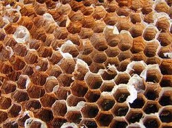 Κυψέλη μελισσών - Κατασκευές